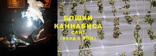 индика Балахна