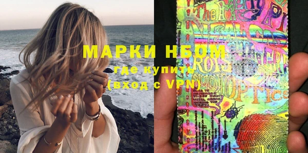 индика Балахна