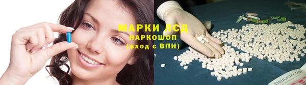 индика Балахна