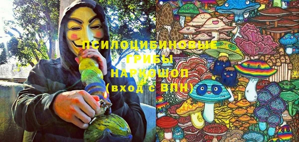 индика Балахна