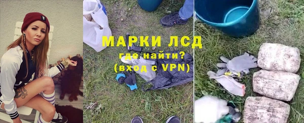 индика Балахна